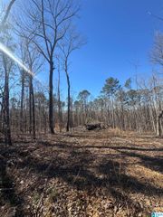 0 ROSSER LANE, Tuscaloosa, AL 35111