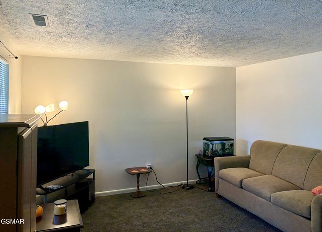 625 S Asbury Dr Apt 20, Pigeon Forge, TN 37863