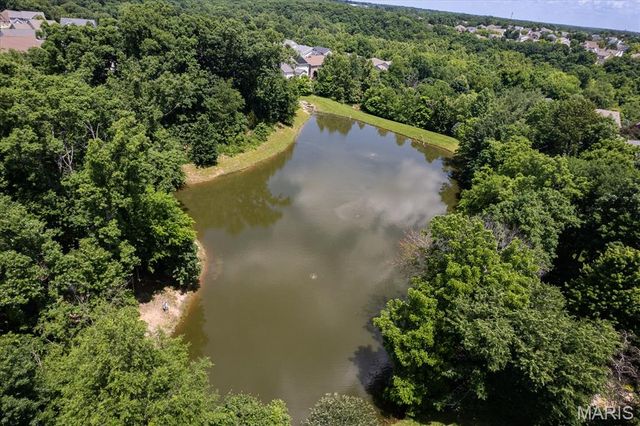 165 Carlton Point Drive, Wentzville, MO 63385