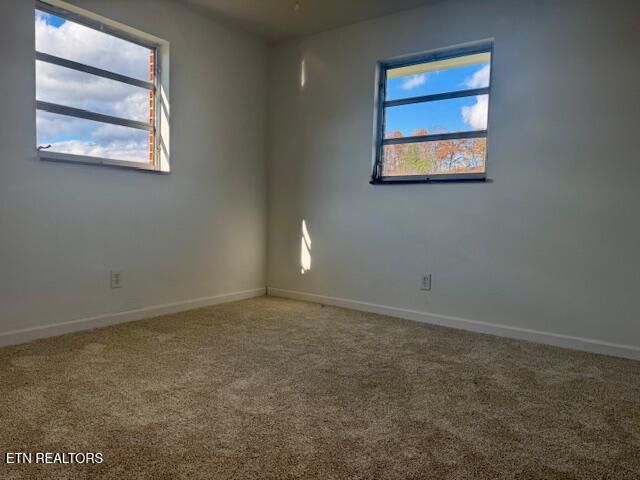 526 Blue Hollow Rd, Rose Hill, VA 24281