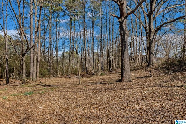 405 MILES DRIVE, Bessemer, AL 35023