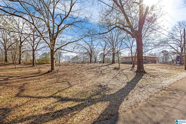 405 MILES DRIVE, Bessemer, AL 35023