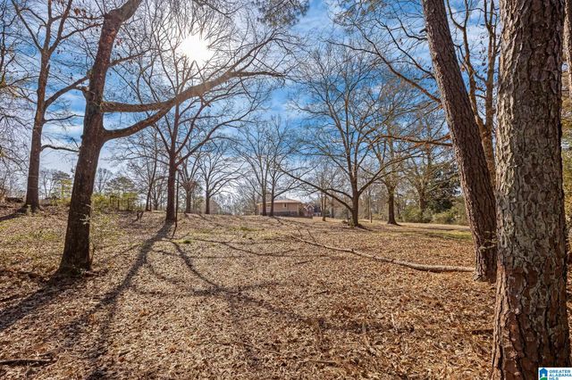 405 MILES DRIVE, Bessemer, AL 35023