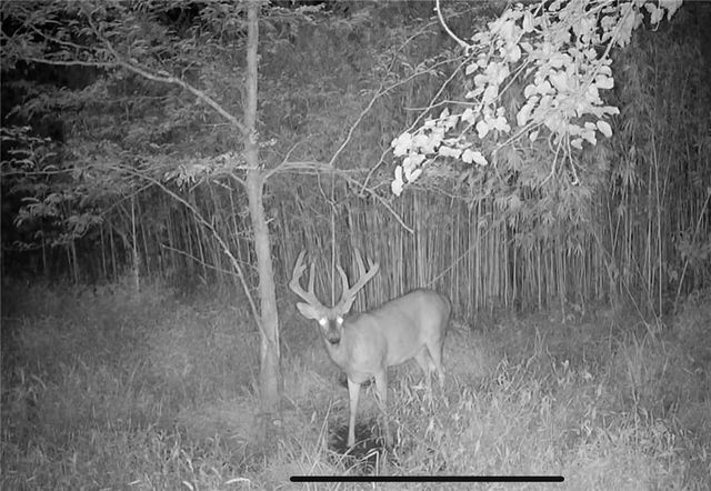 14030 Ode Road, Platte City, MO 64079