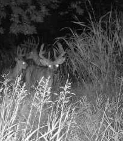 14030 Ode Road, Platte City, MO 64079