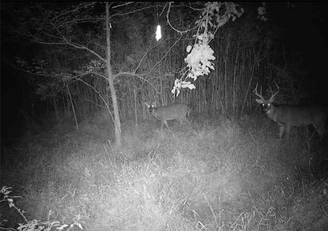 14030 Ode Road, Platte City, MO 64079