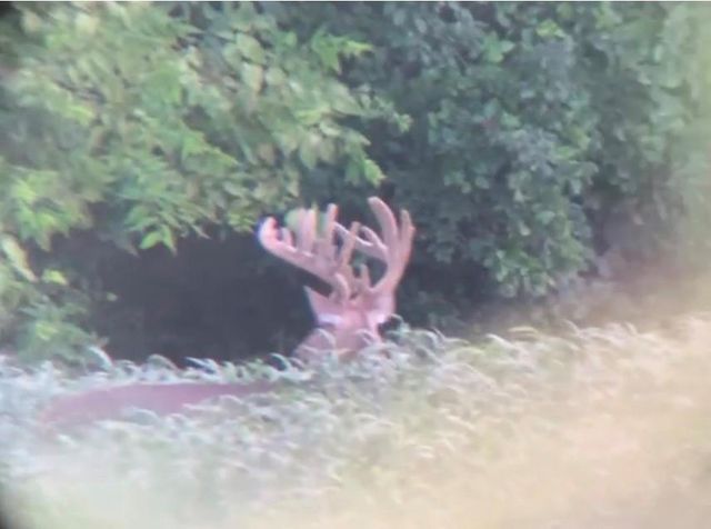 14030 Ode Road, Platte City, MO 64079