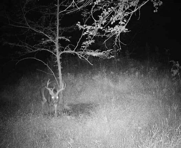 14030 Ode Road, Platte City, MO 64079