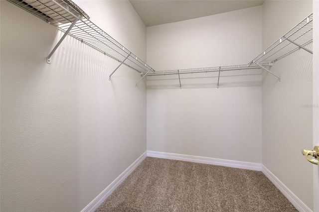 11136 RUNNING PINE DRIVE, Riverview, FL 33569