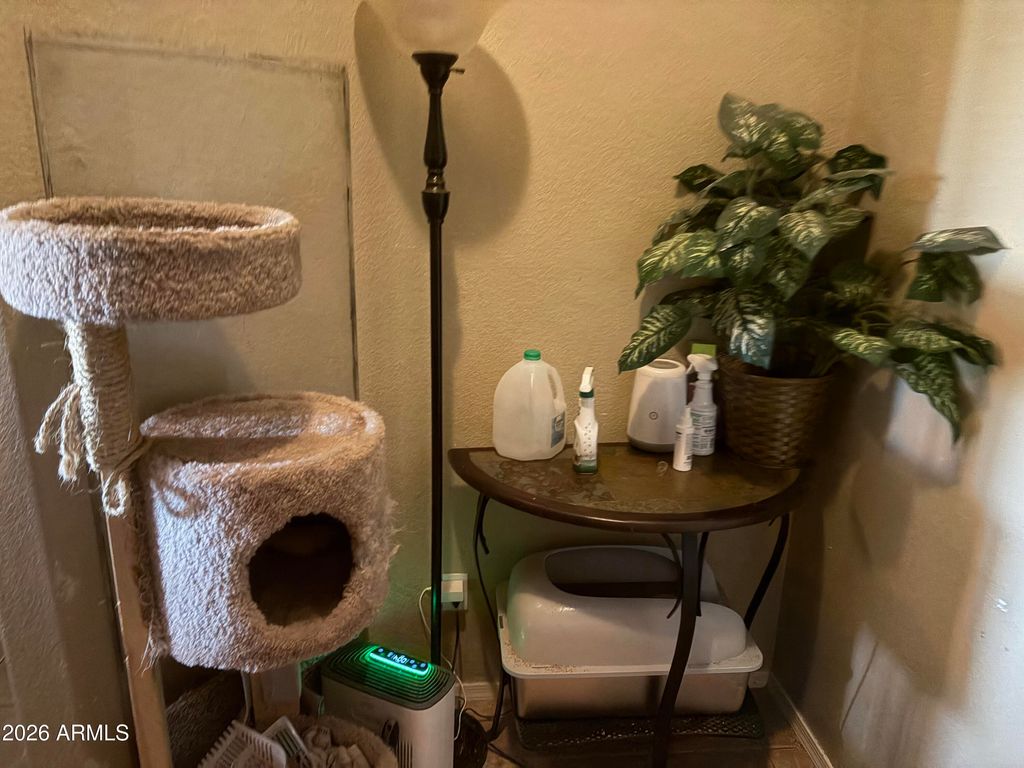 16217 W HADLEY Street, Goodyear, AZ 85338 — photo 3
