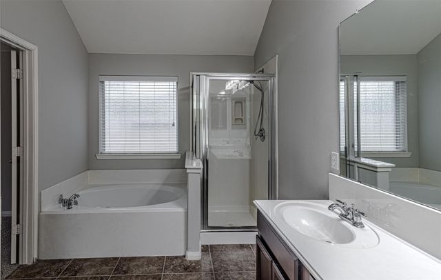 19806 Brookway Berch Court, Spring, TX 77379