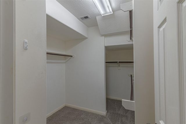 19806 Brookway Berch Court, Spring, TX 77379