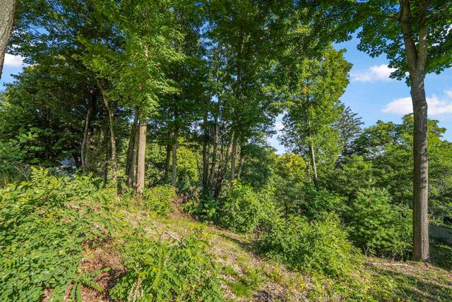 0 Incochee Woods Drive, Garfield Twp, MI 49684