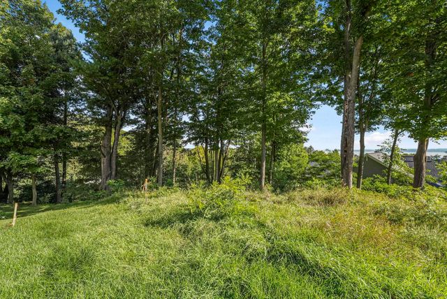 0 Incochee Woods Drive, Garfield Twp, MI 49684