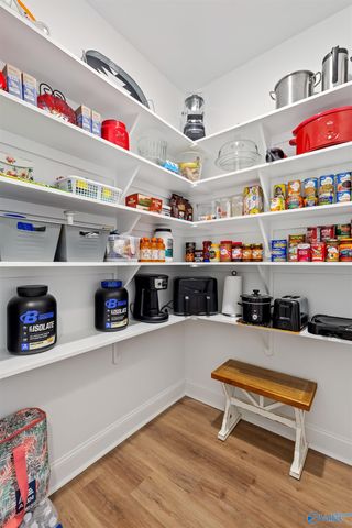 24009 Quints Drive, Athens, AL 35613