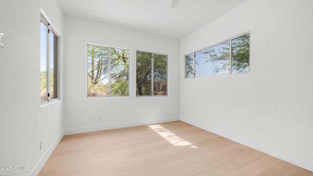 35407 N PALO VERDE Way, Cave Creek, AZ 85331