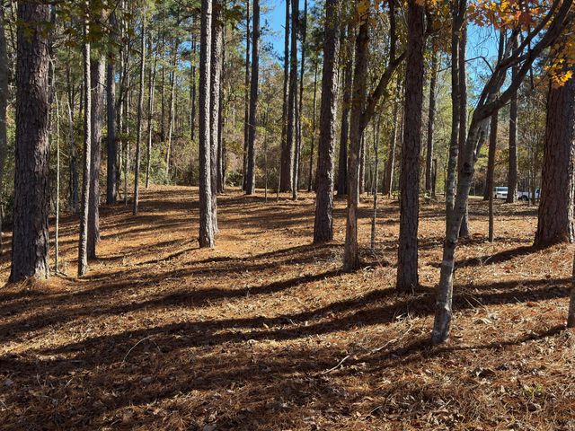 34 Bent Pebble Point, Lumberton, MS 39455