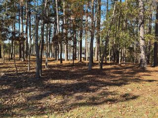 34 Bent Pebble Point, Lumberton, MS 39455