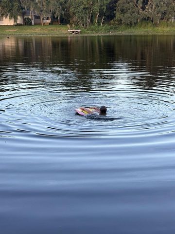 210 WESTLAKE DRIVE, Lake Helen, FL 32744