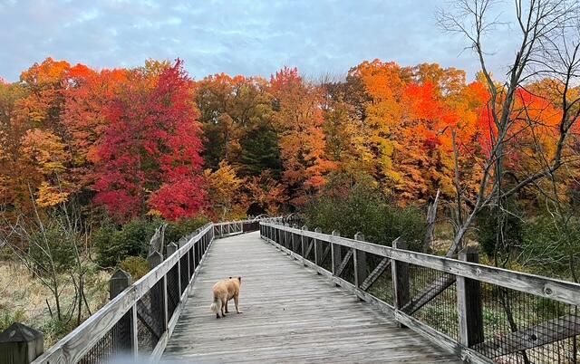 8079 Pigeon Creek Drive, West Olive, MI 49460