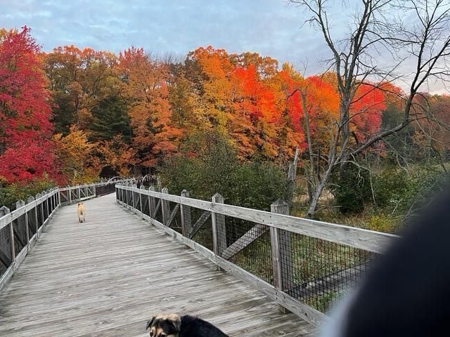 8079 Pigeon Creek Drive, West Olive, MI 49460