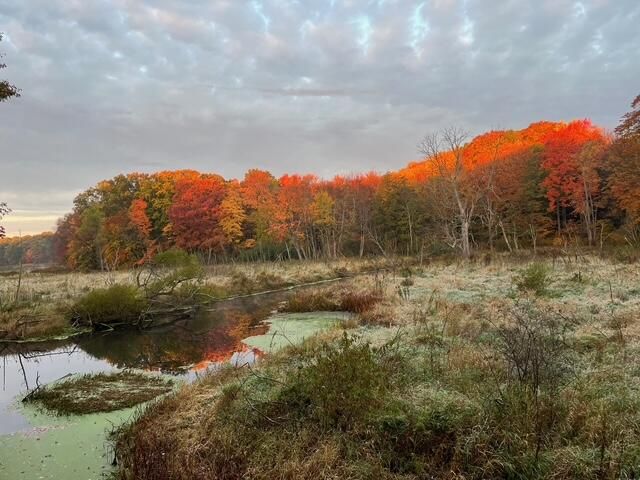 8079 Pigeon Creek Drive, West Olive, MI 49460