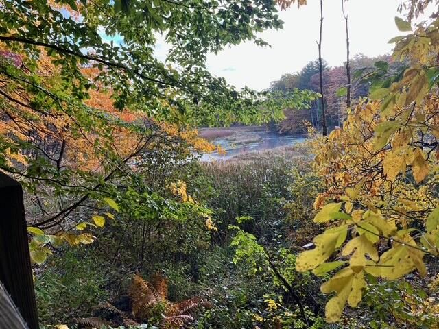 8079 Pigeon Creek Drive, West Olive, MI 49460