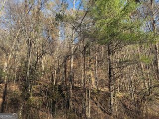 0 Whitepath Road, Ellijay, GA 30540