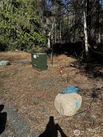 999 Lot 2 Robinson Road, Port Angeles, WA 98362