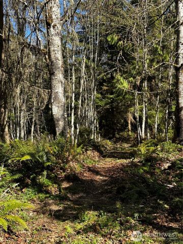 999 Lot 2 Robinson Road, Port Angeles, WA 98362