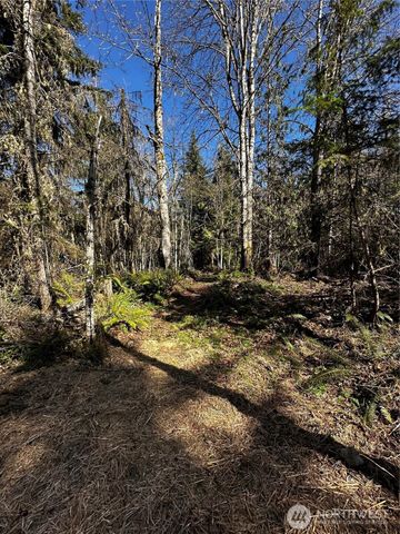 999 Lot 2 Robinson Road, Port Angeles, WA 98362