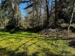 999 Lot 2 Robinson Road, Port Angeles, WA 98362