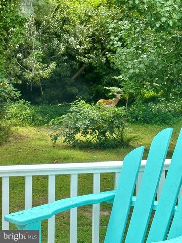 3618 WILLOW ST, Chincoteague Island, VA 23336