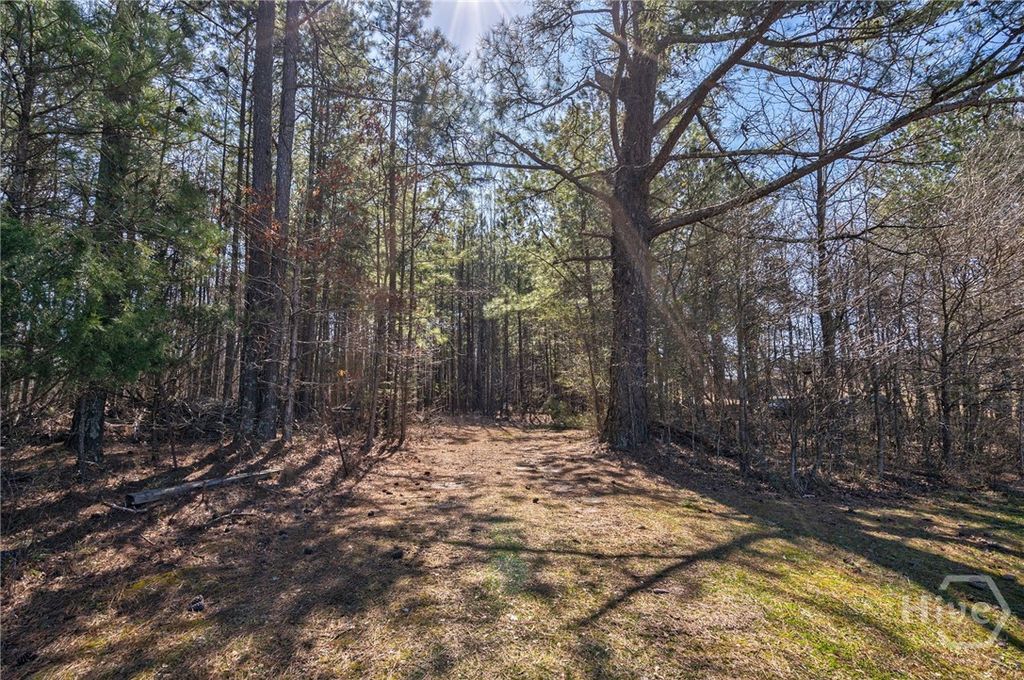 202 Kent Rock Road Tract 4, Loganville, GA 30052