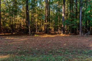 TBD Wildwood Trail, Mount Vernon, TX 75457
