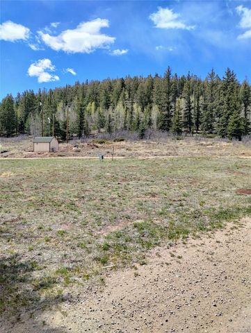 122 Coach Lane, Hartsel, CO 80449