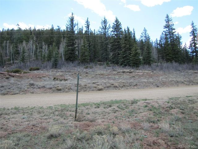 122 Coach Lane, Hartsel, CO 80449