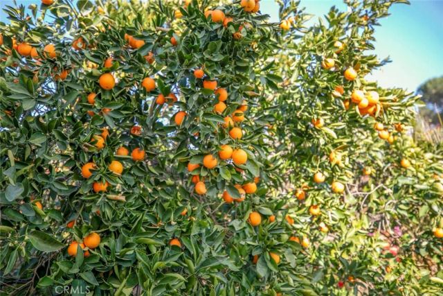 11020 Scoville Avenue, Sunland, CA 91040