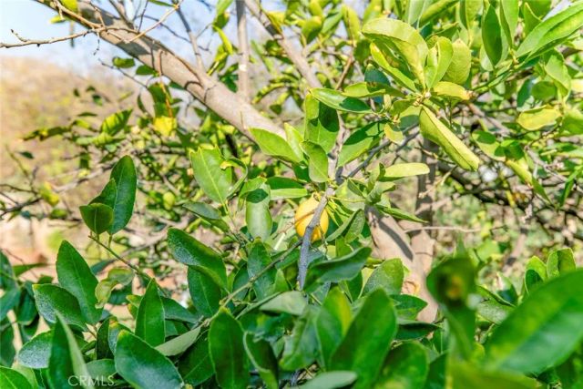 11020 Scoville Avenue, Sunland, CA 91040