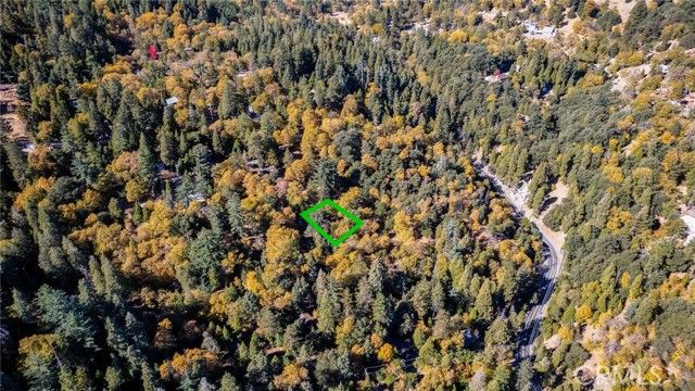 0 Alder Creek Road, Cedarpines Park, CA 92322