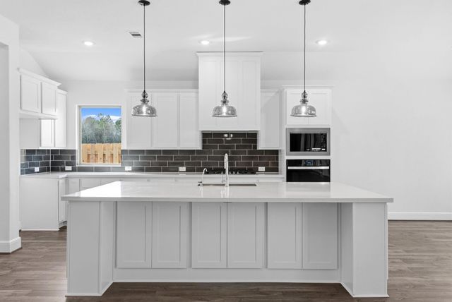 41754 Wendele Way, Todd Mission, TX 77316