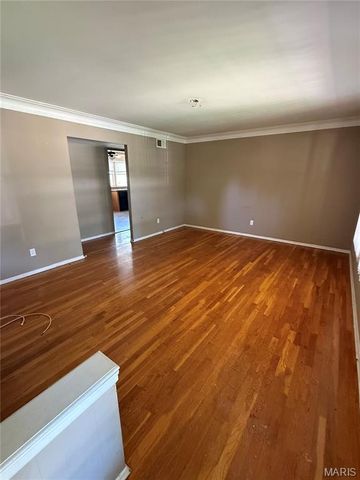 1328 Coppergate Lane, St Louis, MO 63138