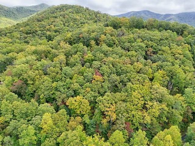 Lot 27 Skyview Drive, Hayesville, NC 28904