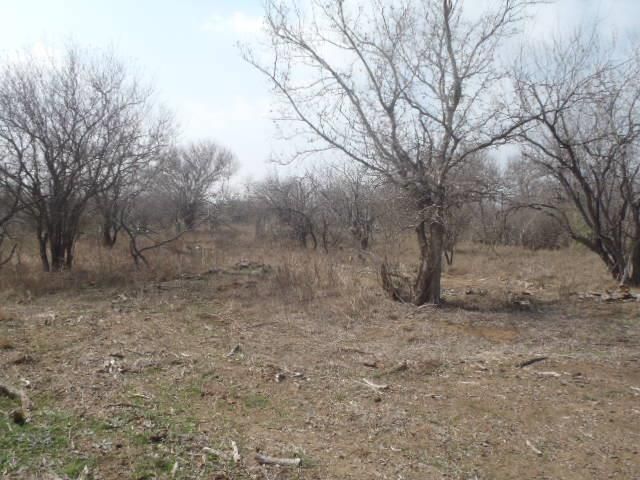 1580 Pooley RD, Kingsbury, TX 78638