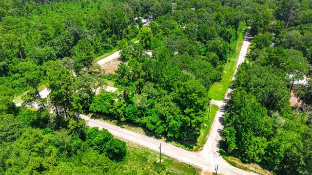 0 Elaine Avenue, Shepherd, TX 77371