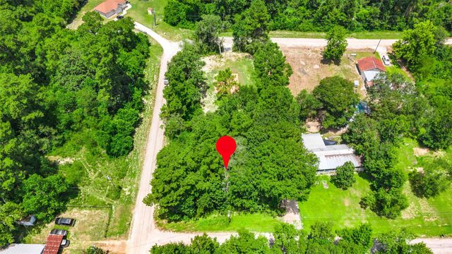 0 Elaine Avenue, Shepherd, TX 77371