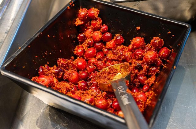 29943 GANGA WAY, Wesley Chapel, FL 33543