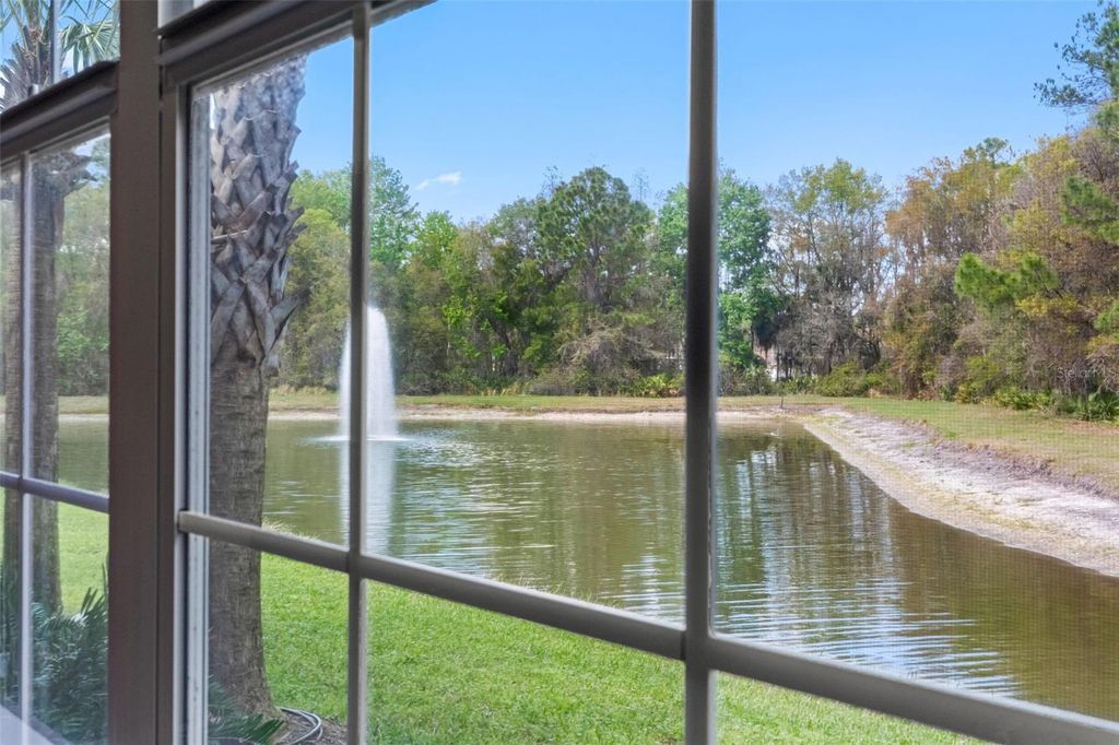 Image 21 of property listing at 29943 GANGA WAY, Wesley Chapel, FL 33543