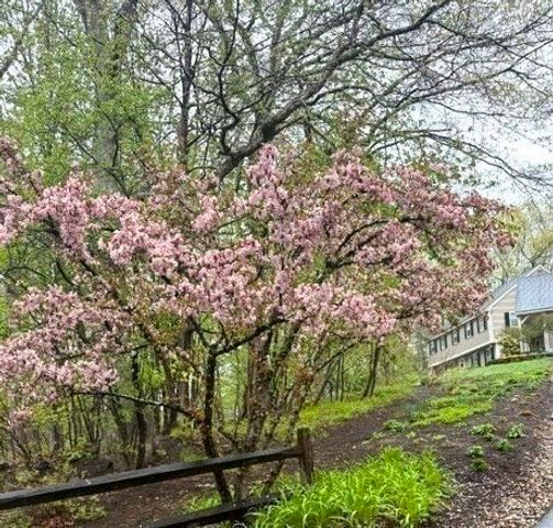 536 Longley Rd, Groton, MA 01450