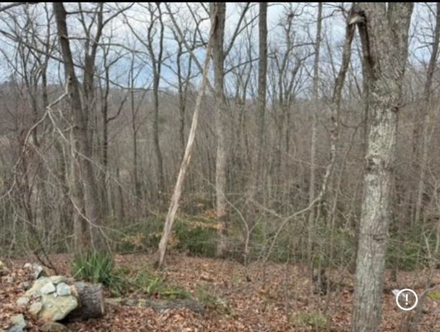 1566 U.S. 460, Frenchburg, KY 40322